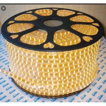 Đèn Led Trang Trí 1 Hàng 2 Chống Nước Hàng Quấn Cây Ngoài Trời.