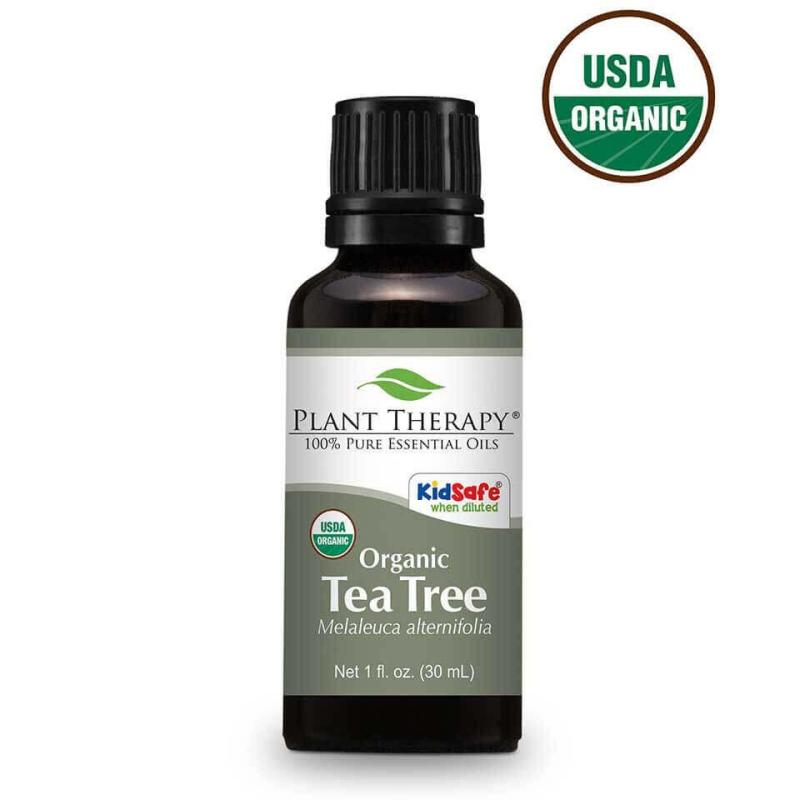 Buy Plant Therapy Tea Tree Essential Oil - 30ml - Ecocert Organic Certified Singapore