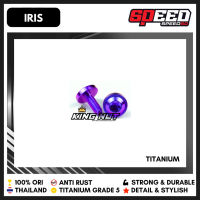 Baut M 6 x 15 Drat 10 x 15 Baut Titanium Grade 5 Probolt Thailand King Nut