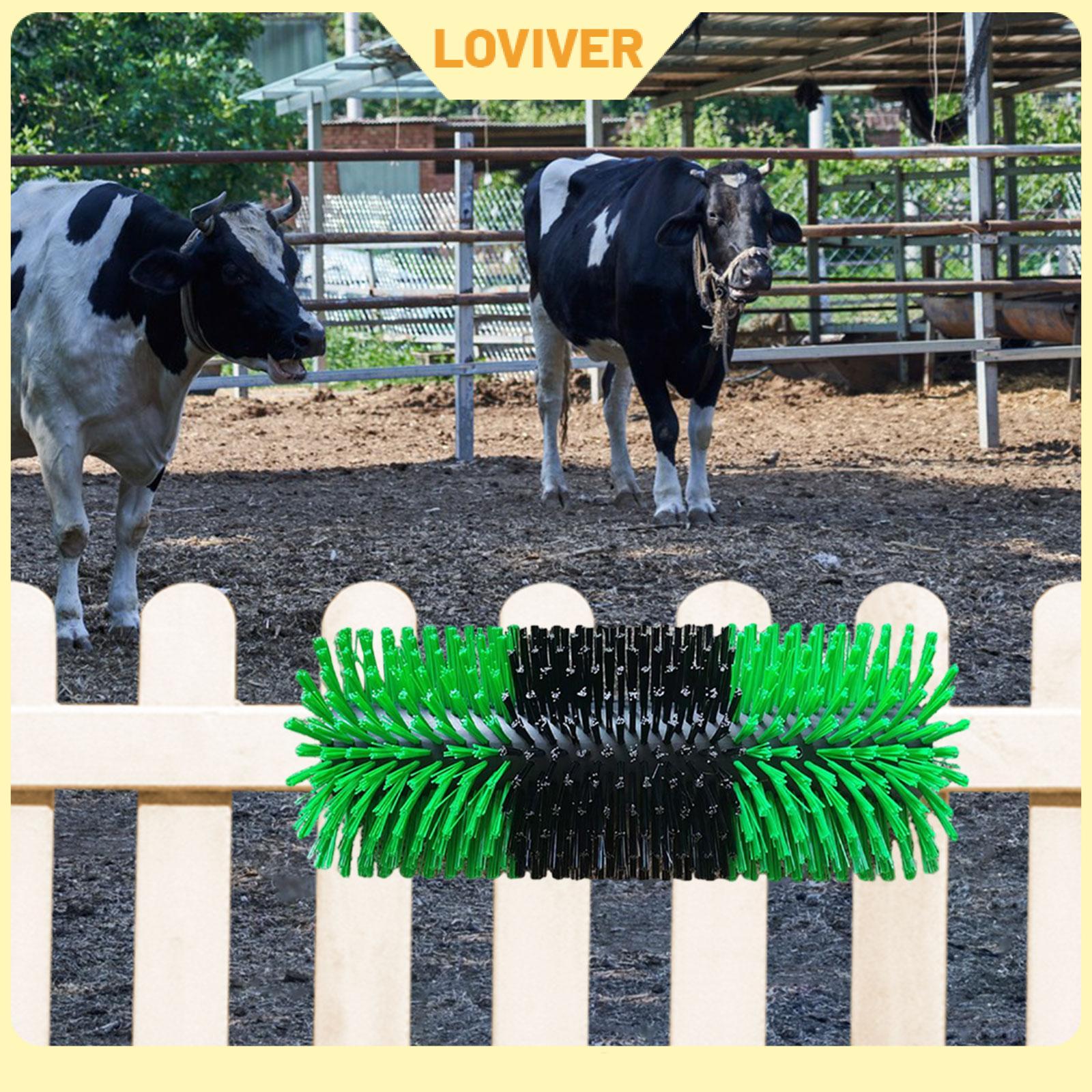 Livestock Scratching Brush Goat Scratcher Livestock Brush ราคา 1,709 บาท*ส่งฟรี