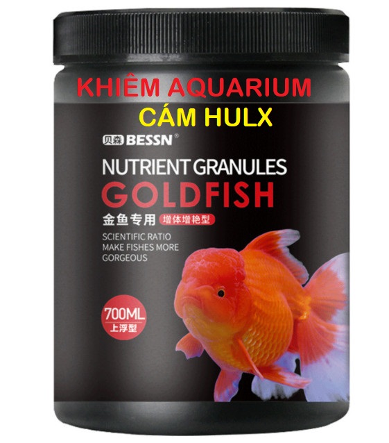 HANAH AQUARIUM_Cám dinh dưỡng cá vàng độ đạm 42% chất lượng như Hikari