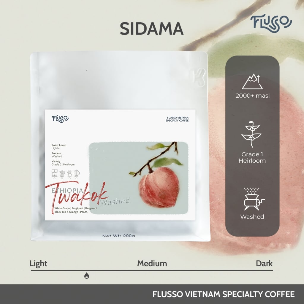 Cà phê Specialty Ethiopia Sidama Twakok Washed
