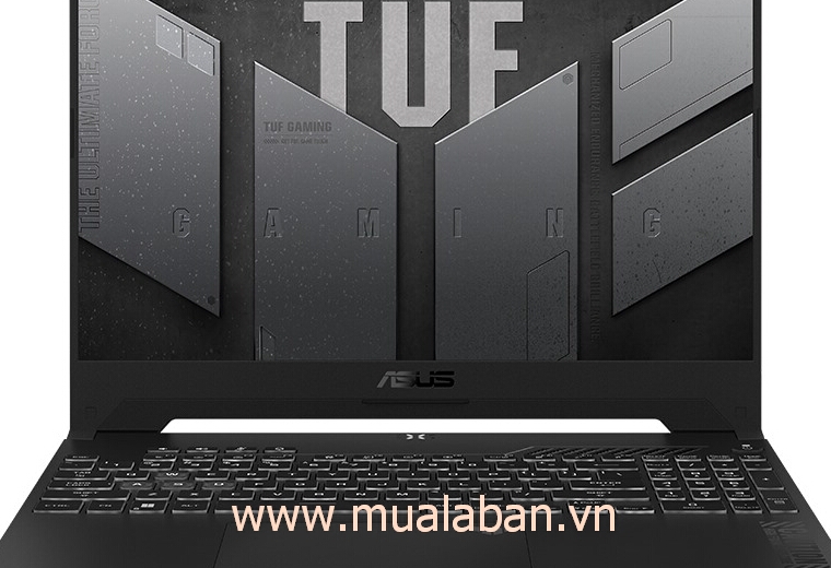 Laptop Asus TUF Gaming FA507NV-LP046W R7 7735HS 8GB 512GB GeForce RTX 4060 8GB Win11