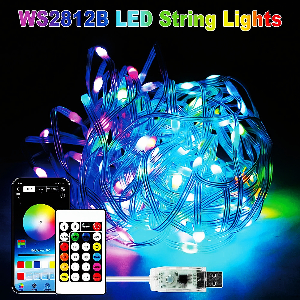 USB LED RGBIC Fairy String Lights with Remote & Music Control