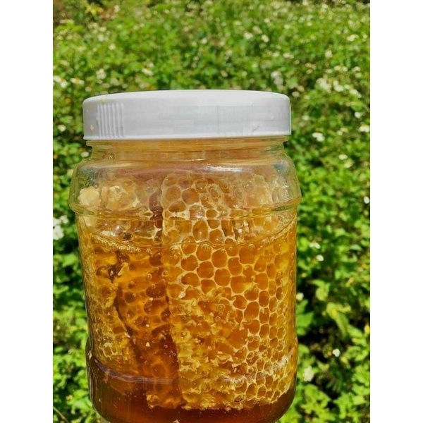 Mật Ong nguyên sáp hủ 1kg