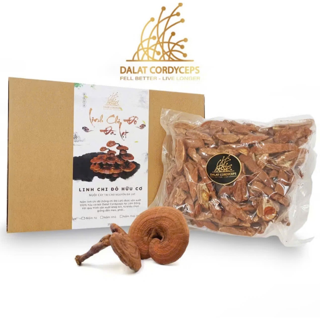 Nấm linh chi đỏ Đà Lạt còn nguyên bào tử nấm loại thái lát 250g&500g Dalat Cordyceps