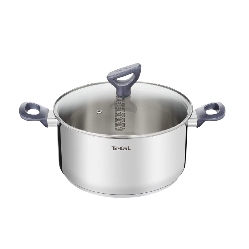 Tefal Daily Cook Stainless Steel Induction Stewpot (18cm, 2.1L) (20cm, 3.0L) (24cm, 5.2L) Dishwasher Oven Safe No PFOA Silver Singapore