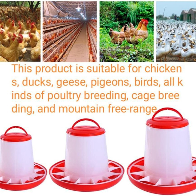 [HUSTOM] COD 1 4 6 8 10kg Tự động gà trung chuyển xô Gà trống hen ăn thiết bị, trang trại động vật gia cầm chim cút chim bồ câu ăn nguồn cung cấp 1 PC