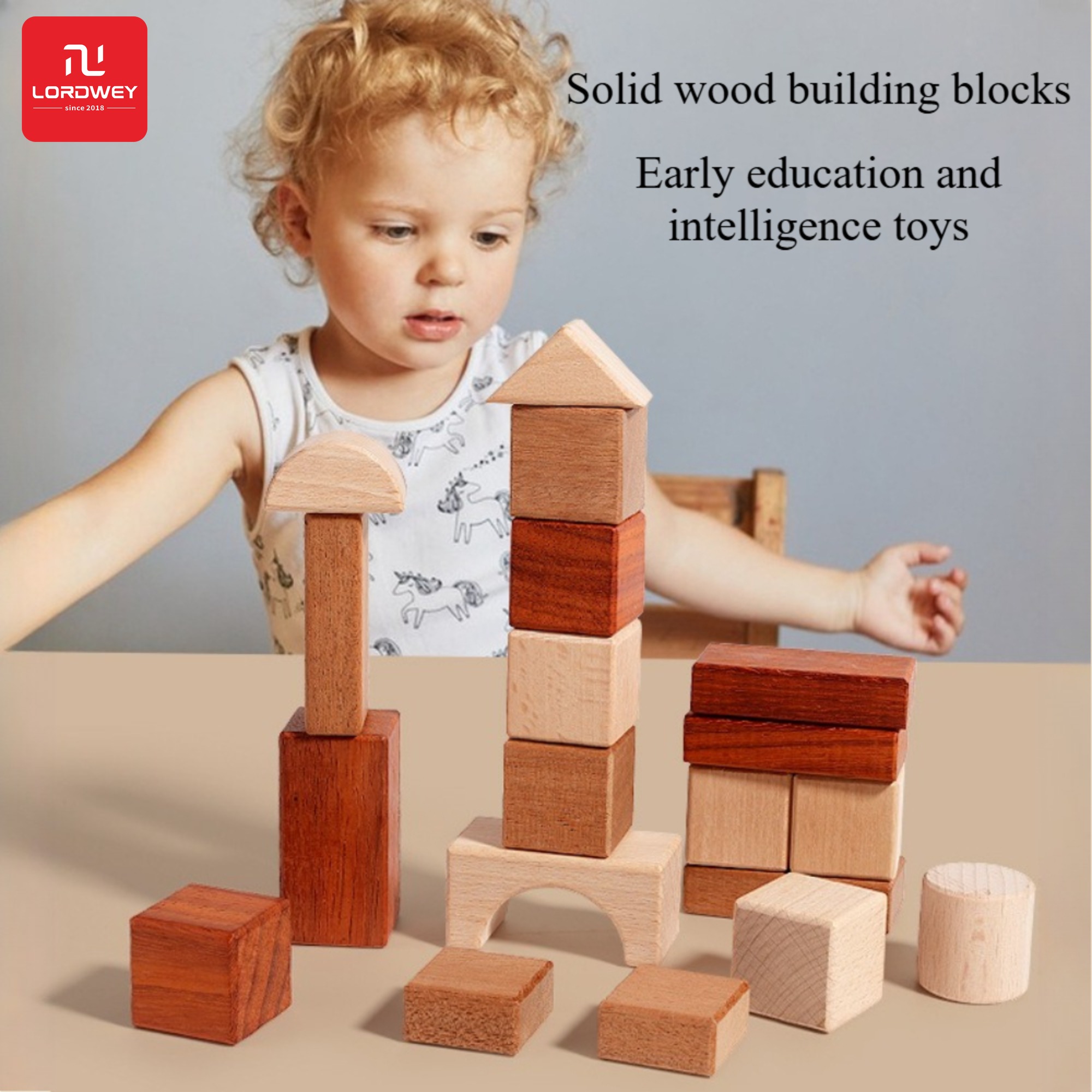 ตัวต่อเลโก้ บล็อกตัวต่อเสริมสร้างทักษะ LORDWEY | Children's Elm Wood Building Blocks - Suitable for 3 To 6-year-old Children Comes with No Painting. Made of Solid Wood An Educational and Intelligent Toy for Early Childhood Development ราคา 630 บาท*ส่งฟรี