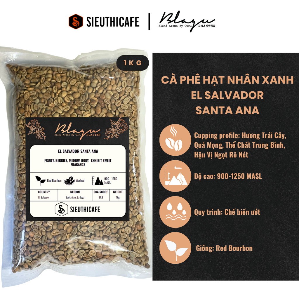 Cà Phê Blagu Hạt Nhân Xanh El Salvador Santa Ana - 1kg