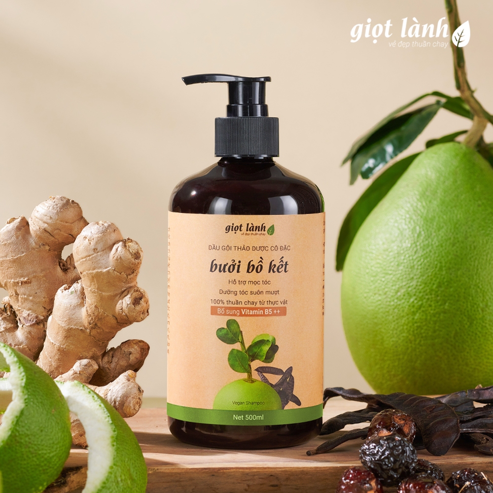 Dầu gội bồ kết - bưởi, dầu gội thảo dược thuần chay kích mọc tóc Giọt Lành 500ml