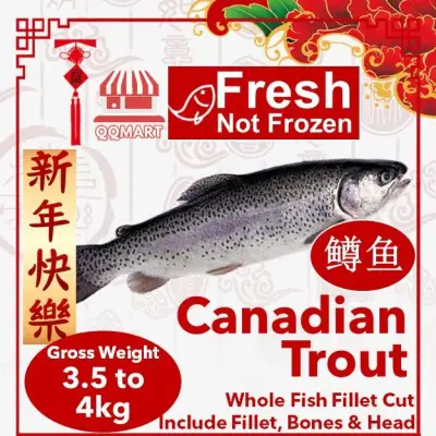Fresh Whole Canadian Trout 3.5 to 4kg (Fillet Cut)