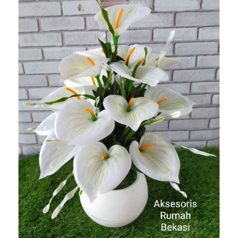 set bunga sudut anthurium / bunga Lilly / bunga Aron dengan pot bola jumbo