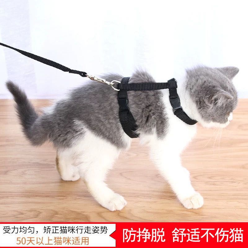 Cat traction anti loosening, kitten walking chest strap