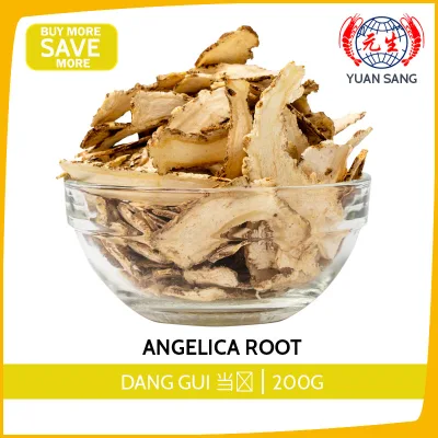 Chinese Herbs Angelica Root Dang Gui 当归 200g
