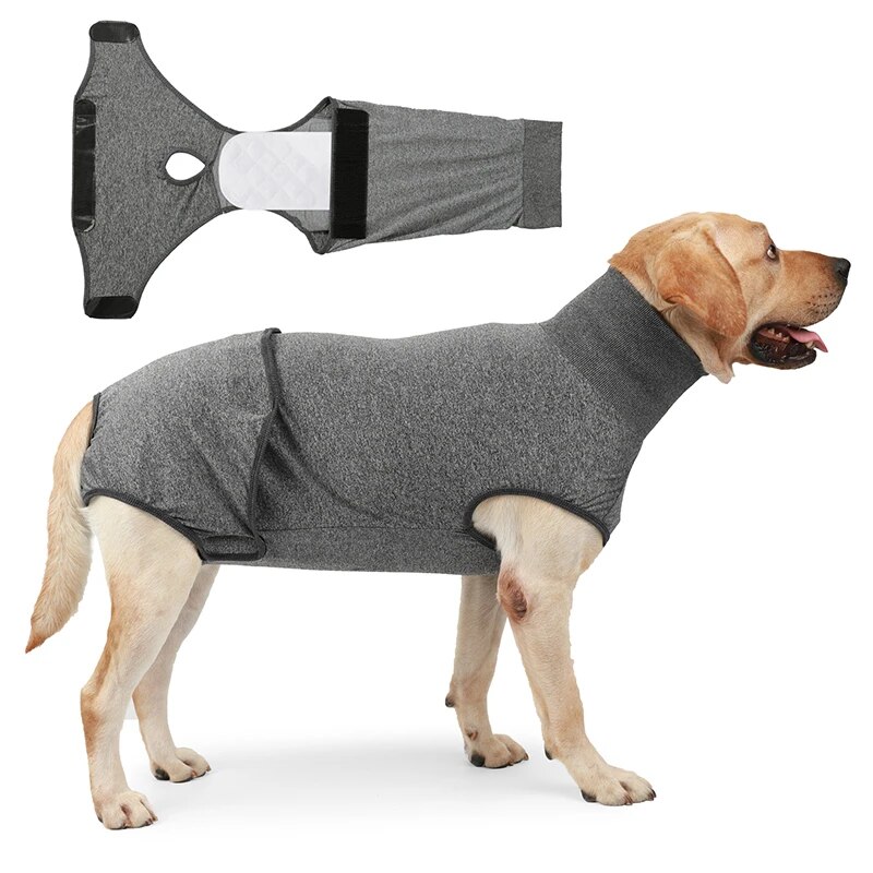 Tã cho cún cưng nữ quần soóc cho chó đồ ngủ kinh nguyệt đồ lót tóm tắt Jumpsuit Pet physioical quần tã saniy vật nuôi các mặt hàng