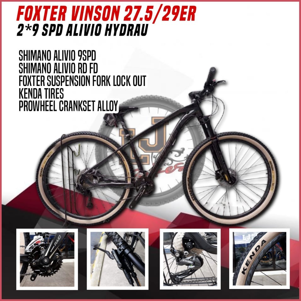 Buy Foxter 29er online | Lazada.com.ph