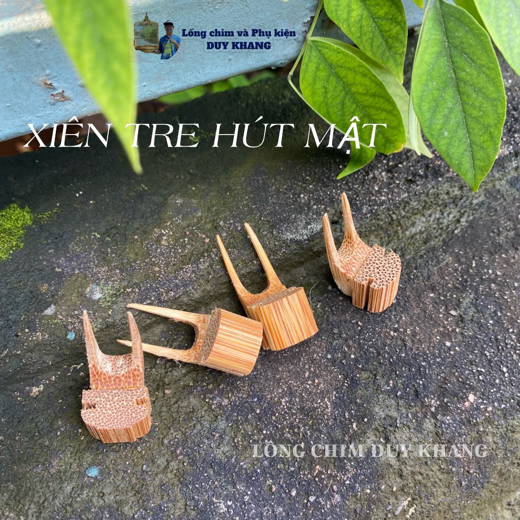 Xiên hoa quả, xiên chuối tre cho lồng chim hút mật, khuyên,... - phụ kiện lồng chim Duy Khang