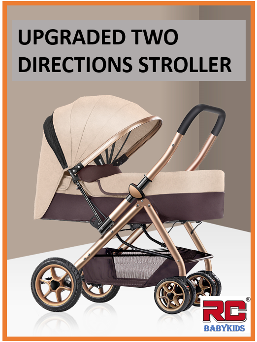 reversible pushchair from birth