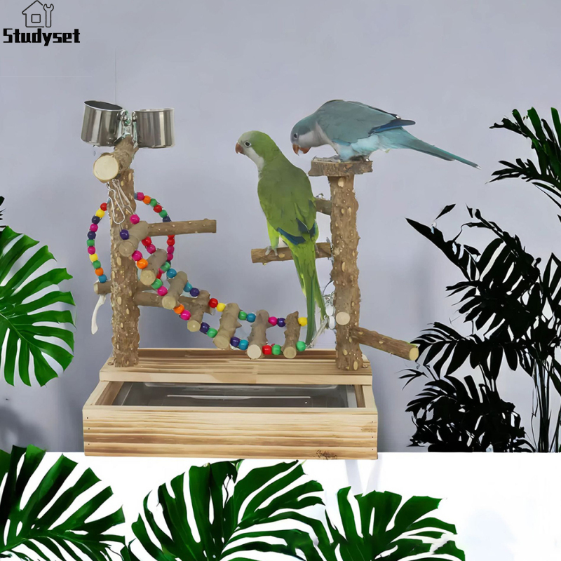 Boupower Bird Swing Platform, Solid Wood Parrot Stand, Bird Stand Perch Gyms Exercise Stands, Desktop Training Stand For Green Cheeks, Parrots, Cockatoos, Budgies, Hummingbirds ราคา 758 บาท*ส่งฟรี