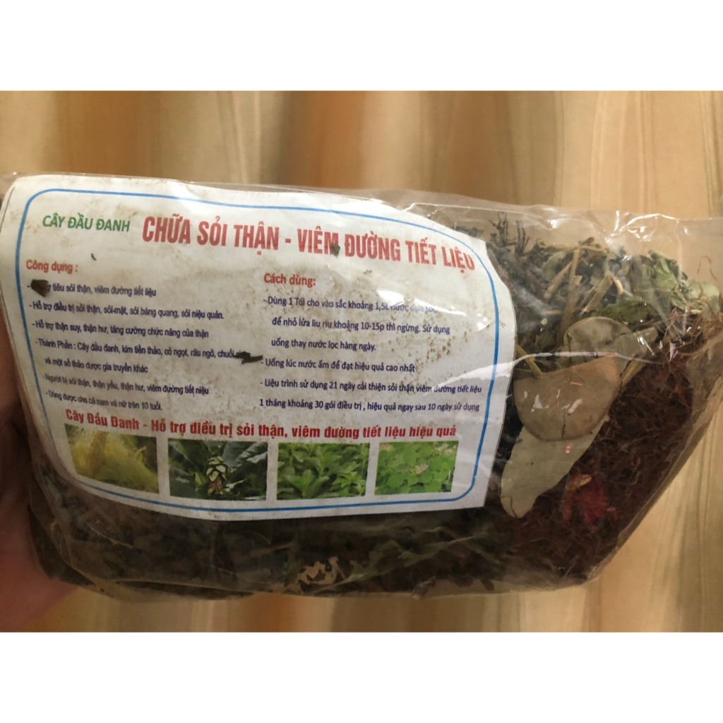 Cây Đầu Đanh Hỗ Trợ sỏi thận, sỏi mật, sỏi bàng quang, lợi mật, thông tiểu, giãn mạch, hạ huyết áp | NTDT2