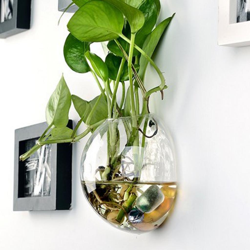 แจกันแก้วไฮโครโปนิคต้นไม้แขวนผนัง Zypplanet กระถางต้นไม้ Terrarium