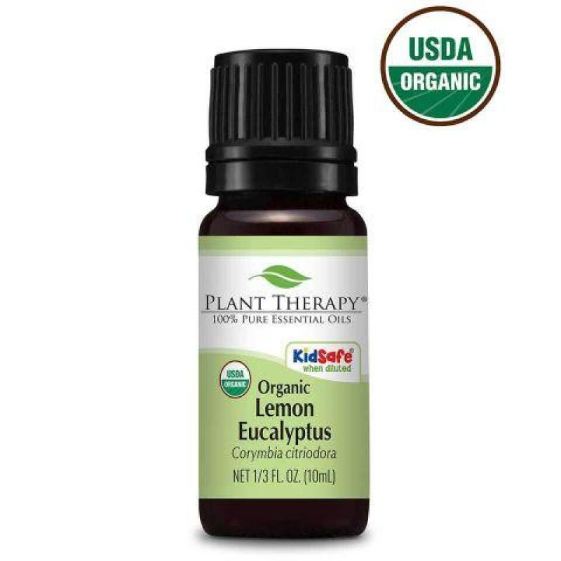Buy Lemon Eucalyptus Organic Essential Oil - 30ml - Ecocert Organic Certified Singapore