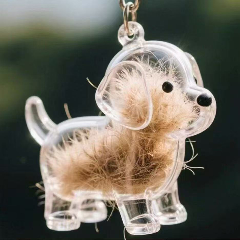 PICOK Rõ ràng Puppy tóc tưởng niệm lưu niệm viên nang pet của chó lông container tự làm mặt dây chuyền Keychain trang trí vật nuôi những người yêu thích nhà hiển thị Quà Tặng - 9