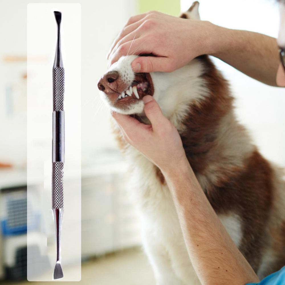 KZNAQQ Double Head Dog Teeth Cleaning Tool Anti