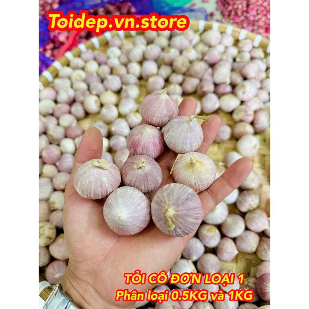 TỎI CÔ ĐƠN LOẠI 1 CỦ TO (SIZE 55 - 59 CỦ 1KG) CHUYÊN LÀM TỎI ĐEN,GIA VỊ NẤU ĂN,HÀNH,TỎI,GỪNG.
