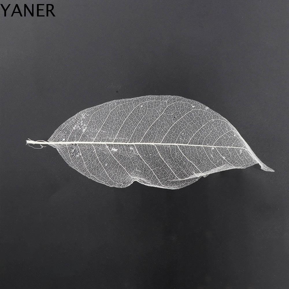 YANER trắng 100 cái Gói nến Đồ trang trí nhân tạo Đồ dùng dự tiệc Lá khô Scrapbooking Trang trí thẻ Lá mộc lan Lá tự nhiên