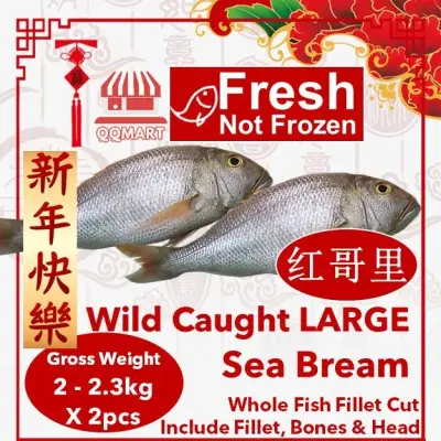 Fresh Wild Caught Whole Large Sea Bream 2 to 2.3kg X 2 pieces (Fillet Cut)