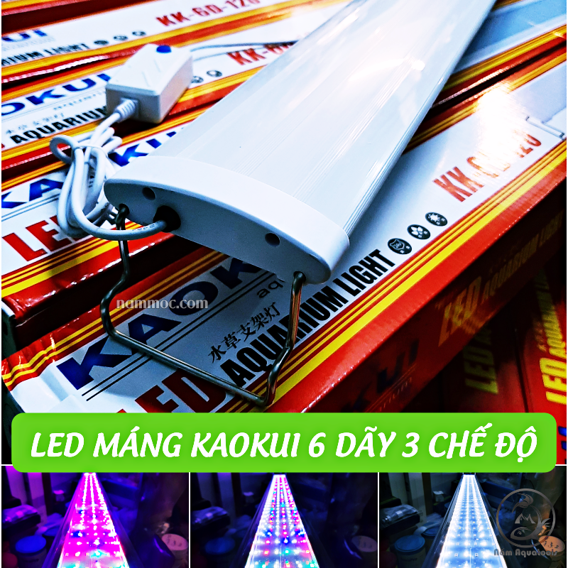 Đèn LED KAOKUI Siêu Sáng 6 Dãy + 3 Chế Độ MàuĐèn LED Cho Bể Cá Cảnh