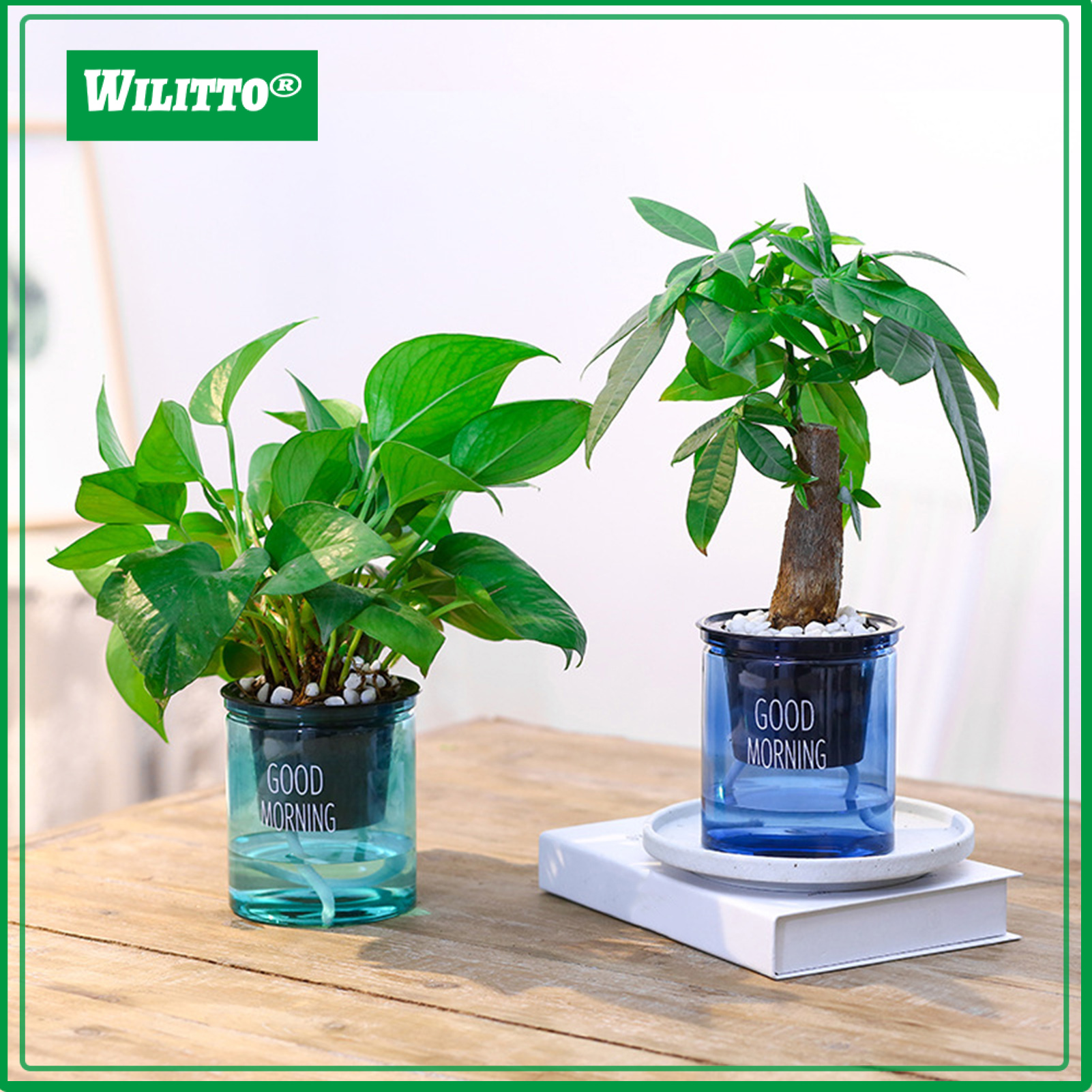 Plant Pot High Durability Large Capacity Plastic Automatic Water Absorbing Round Flower Pots with Cotton Ropes for Home ราคา 62 บาท*ส่งฟรี