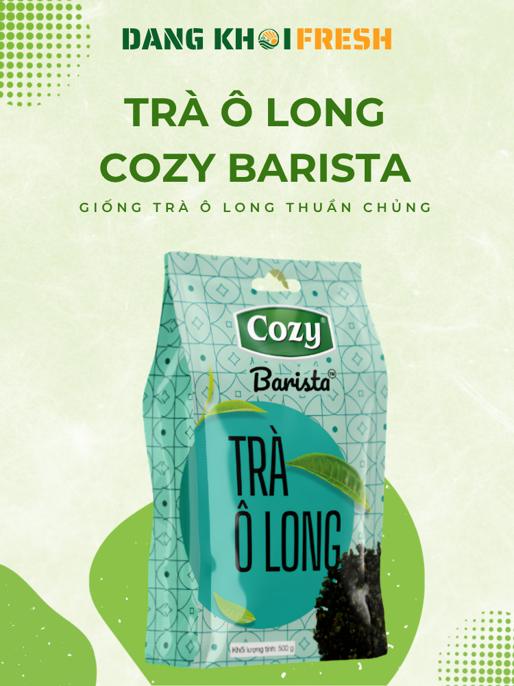 COMBO 5 Túi Trà Ô Long Cozy Barista 500g Trà Ô Long Pha Chế Trà Olong Nhài Bảo Lộc Trà Ô Long Nhài