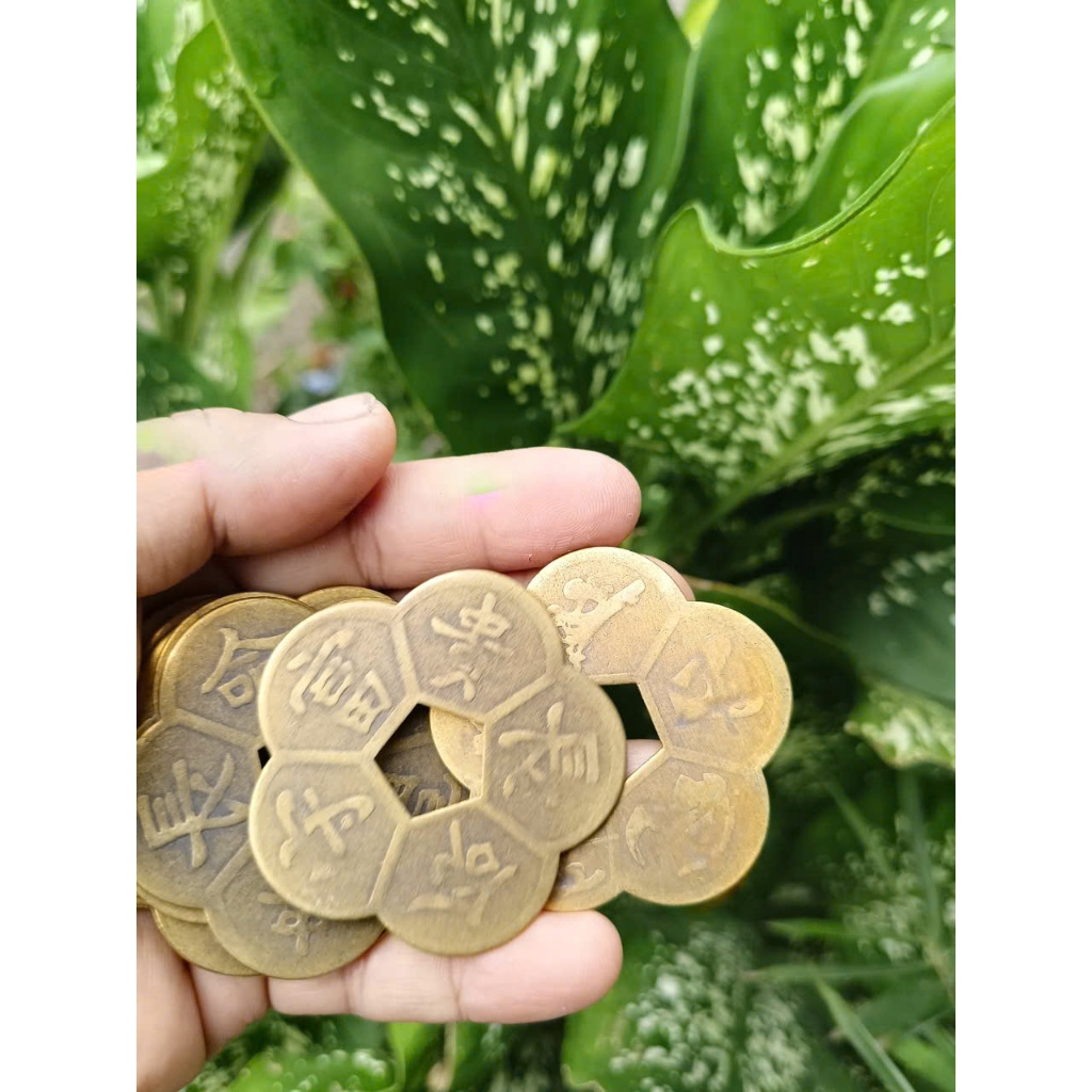 COMBO 5 Đồng xu âm dương chiêu tài - hút lộc