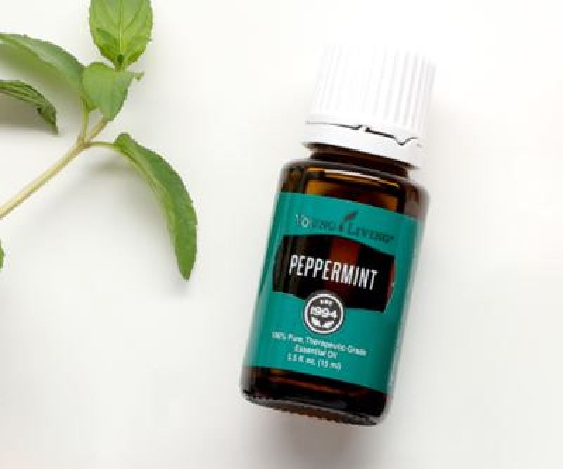 Buy Young Living Peppermint 15ml Singapore