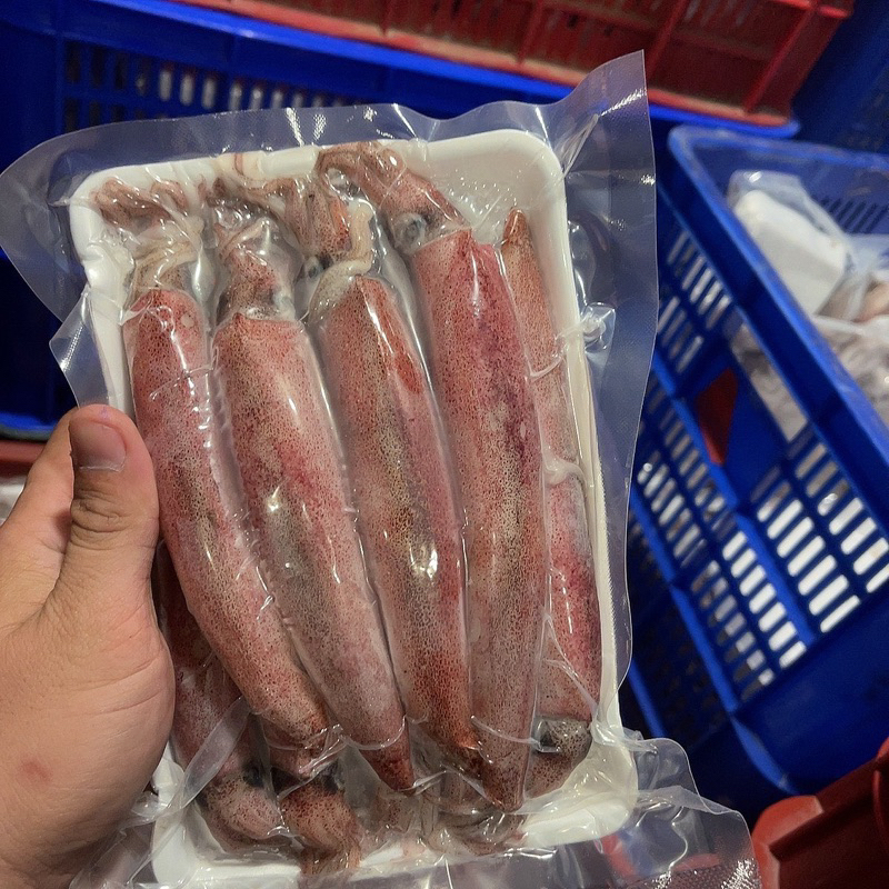 Mực ghim trứng 1kg size 9-15 con