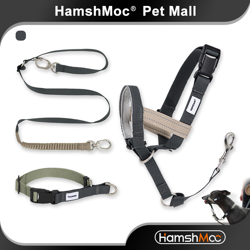HIDREAM Stylish Pet Collar Leash And Muzzle Set Adjustable Anti-Pull Dog Collar durable Lead Rope Reflective Dog Mask Anti-Bite For Pets ราคา 1,477 บาท*ส่งฟรี