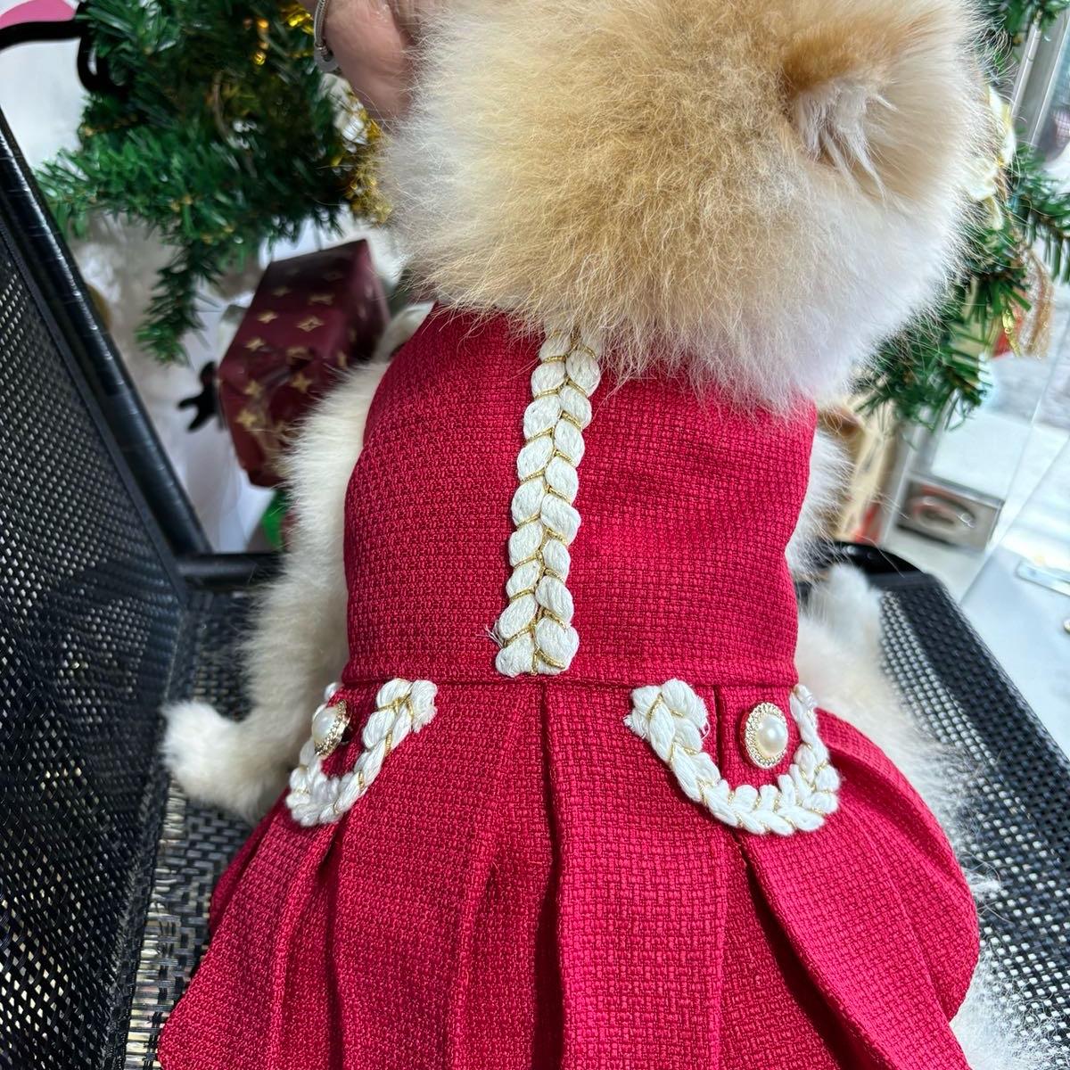 Đầm dạ tết cho chó mèo - punpun petshop