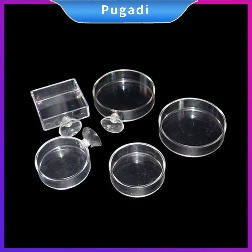 PUGADI Trong suốt Bộ cấp thức ăn cho bể cá có cốc hút Phổ quát Đĩa cho cá tôm ăn  Acrylic Bát ăn cho thú cưng trên không cho bể cá và tôm