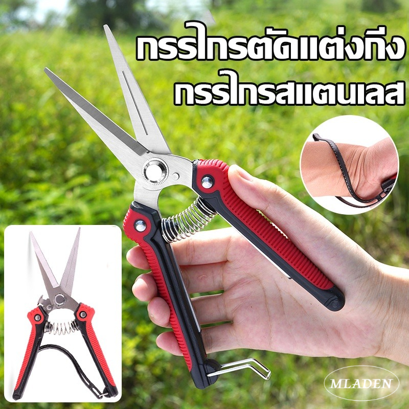 Mladen cod pruning shears pruning pliers branch pruning shears pointed tip fruit storage scissors stainless steel garden tools ราคา 58 บาท*ส่งฟรี