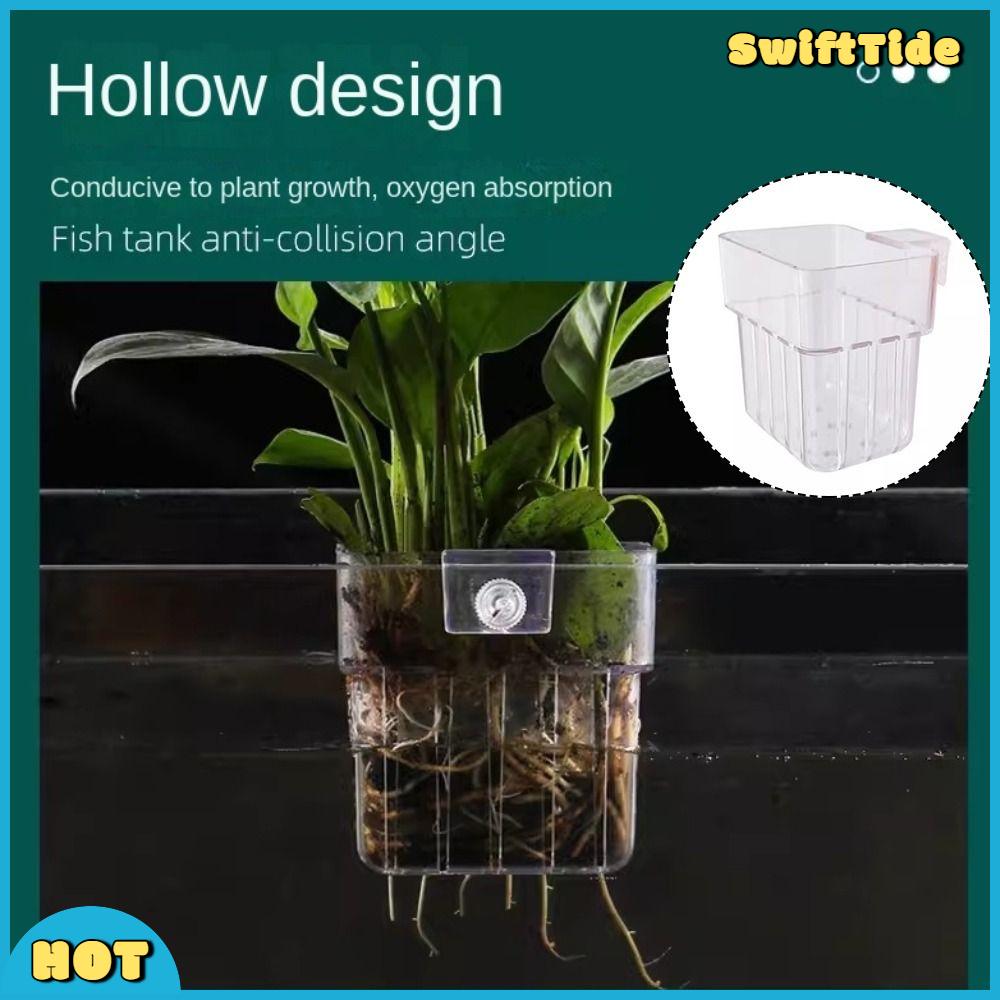 SWIFTTIDE Thủy canh Giỏ trồng thủy canh bể cá Cảnh quan Cây nước Chậu cảnh quan Giá treo cây thủy sinh  Bể trồng Giá trồng cây Cho bể cá