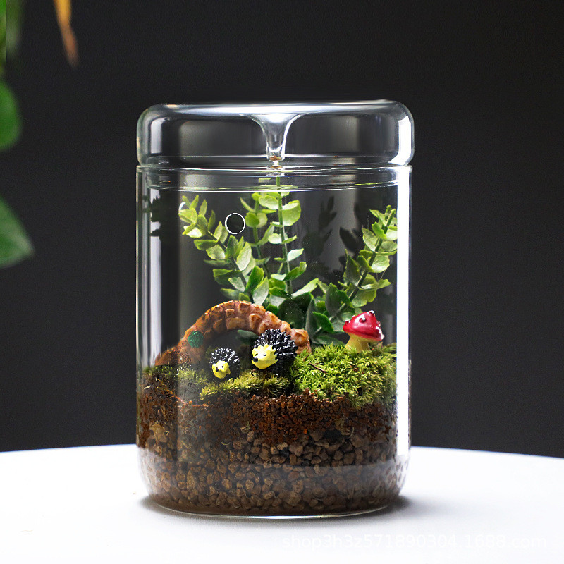 {SG} Mini Glass Fish Tank Desktop Aquarium Tank Ecological Plant Container Micro Landscaping Plant Pot With Lid