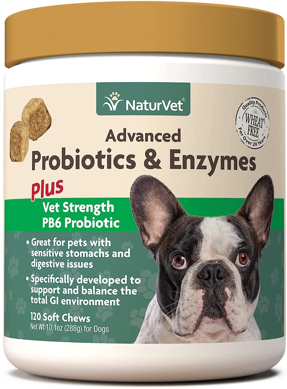 probiotics for dogs food