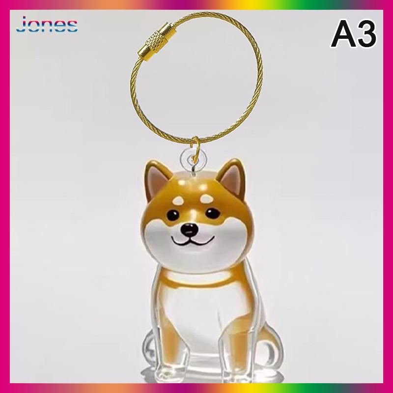 Jones Rõ ràng Puppy tóc tưởng niệm lưu niệm viên nang pet của chó lông container tự làm mặt dây chuyền Keychain trang trí vật nuôi những người yêu thích nhà hiển thị Quà Tặng - 2