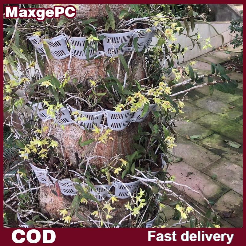 MaxgePC บอร์ดปลูกกล้วยไม้10ชิ้นพร้อมแผงควบคุมและเติมอากาศสำหรับติดบอนไซในร่ม กลางแจ้ง ราคา 58 บาท*ส่งฟรี