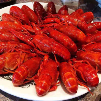 Tôm hùm đất hộp 1kg size 20-30 con (giao tphcm)