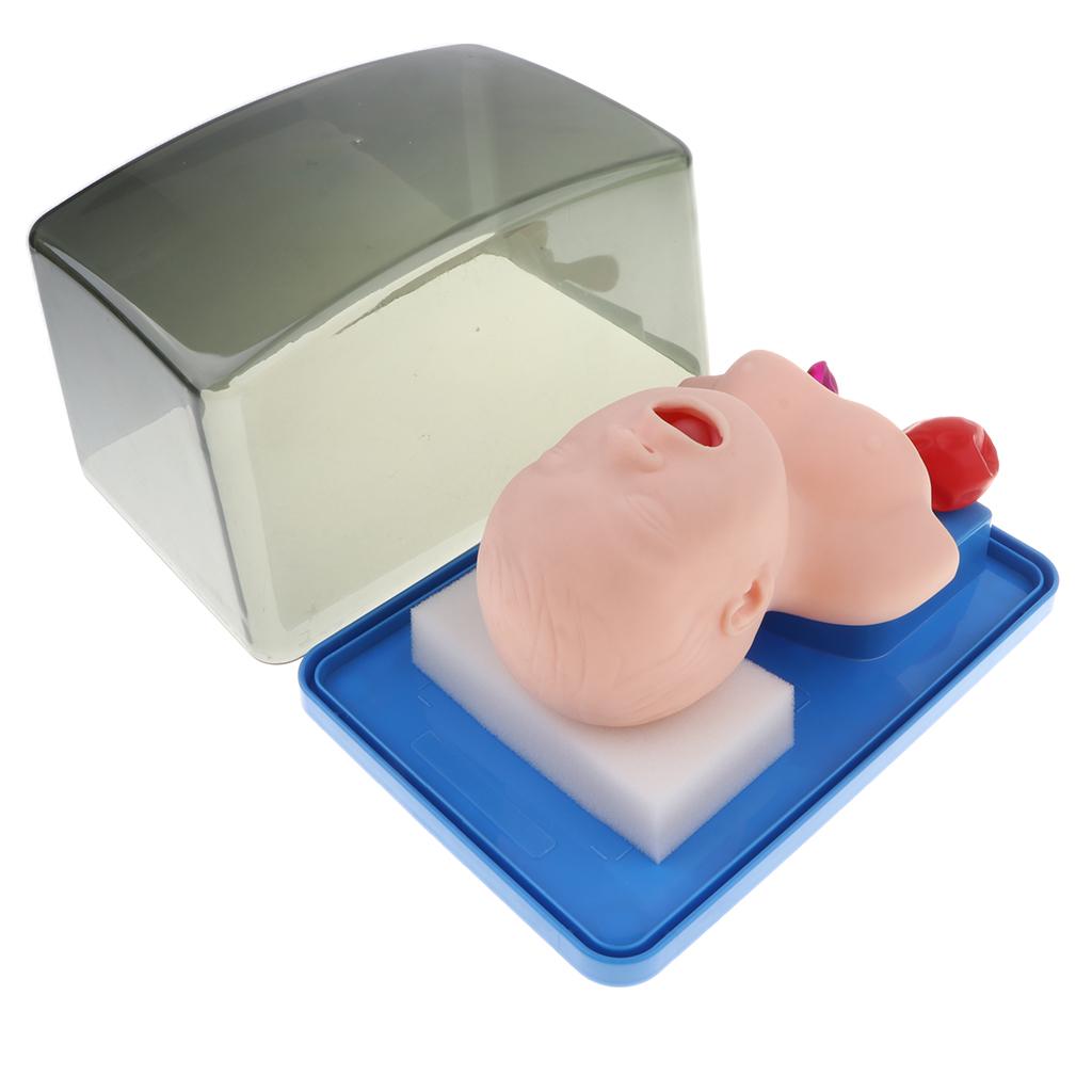 Beatycare Lab Equipment Infant Intubation Manikin Air Tube Cannula ราคา  2,306 บาท*ส่งฟรี