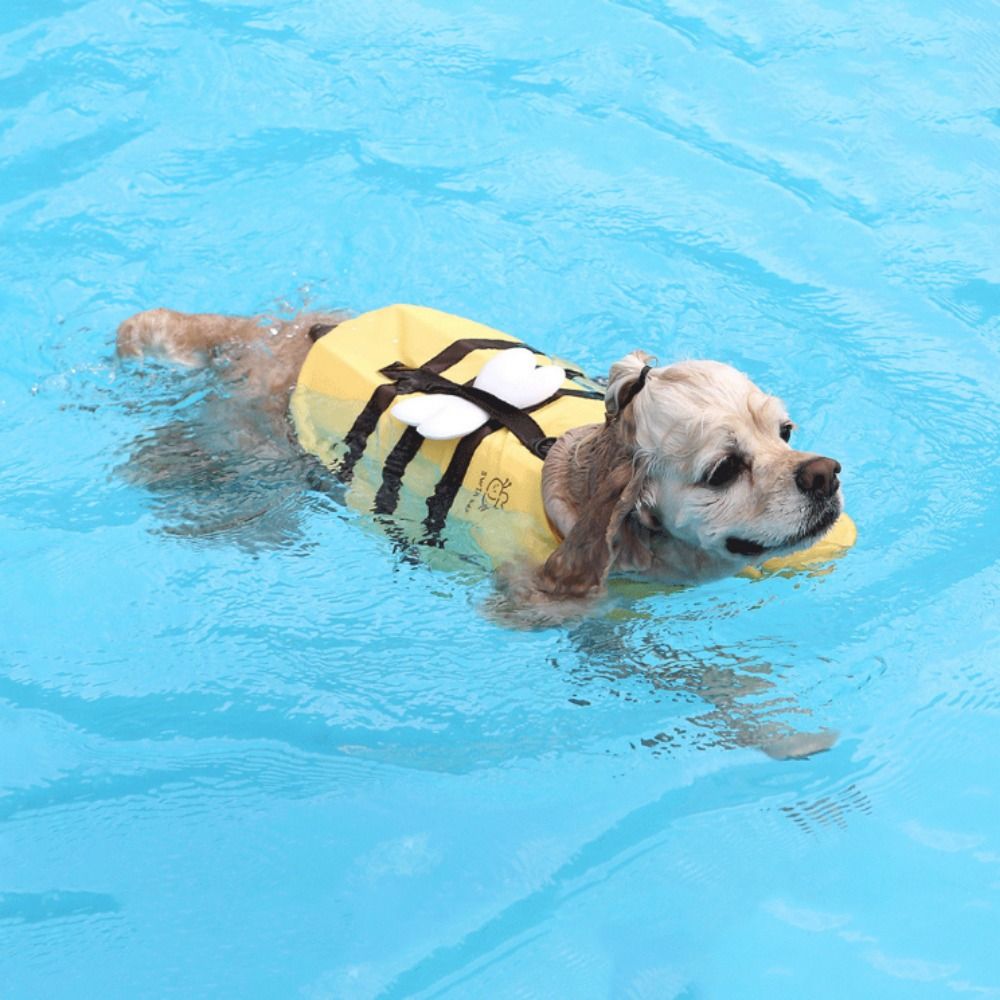 GGTU Không thấm nước Đồ bơi cho chó ong nhỏ Thoáng khí Polyester Áo lót an
